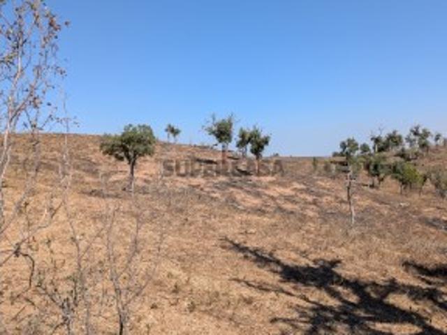 Terreno venda em Santiago do Cacém, Santa Cruz e São Bartolomeu da Serra, Santiago do Cacém