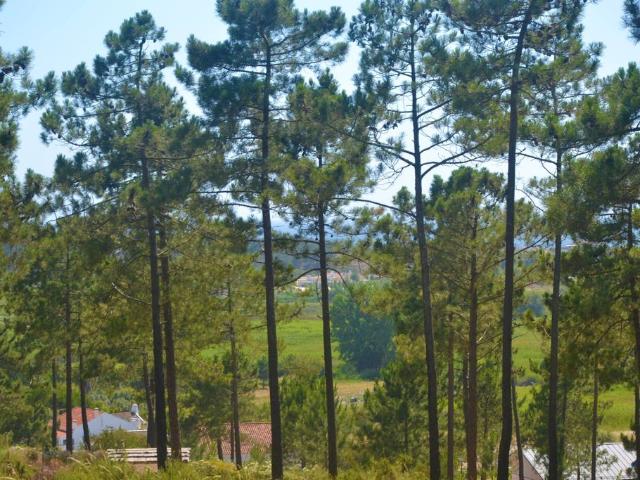 Terreno venda em Comporta