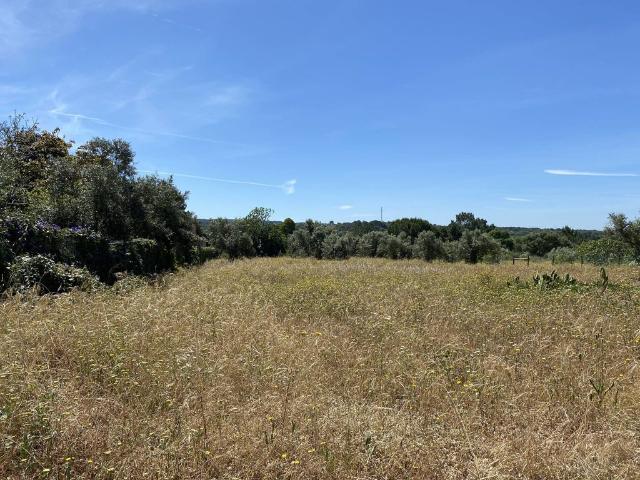 Terreno venda em Grândola, Setúbal