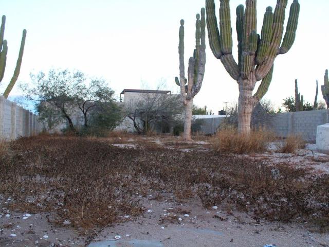 Terreno en renta en La Paz, Baja California Sur