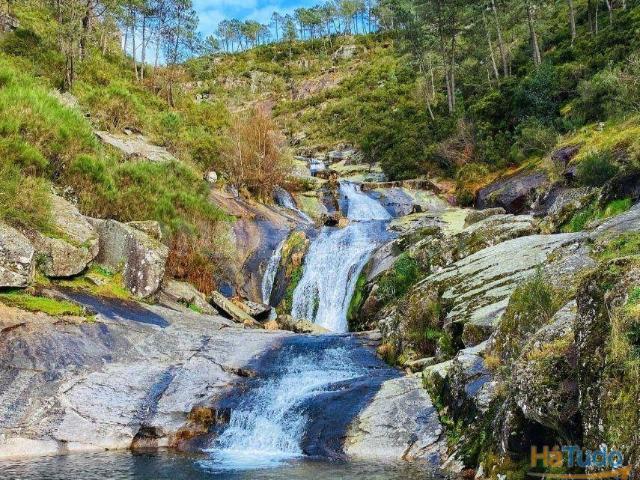 Terreno venda em Mondim De Basto, Vila Real