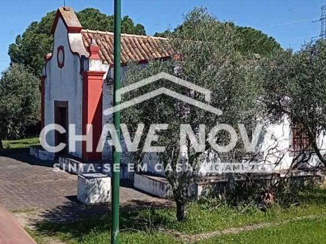 Terreno venda em São Bartolomeu De Messines, Faro