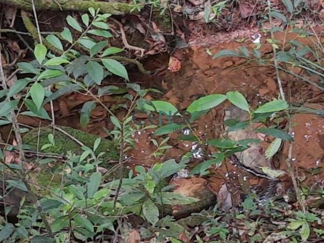 Terreno venda em Região Geográfica Imediata de Juiz de Fora, Andrelândia