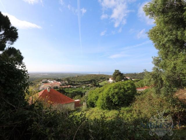 Terreno venda em Quinta de São Martinho, Cascais