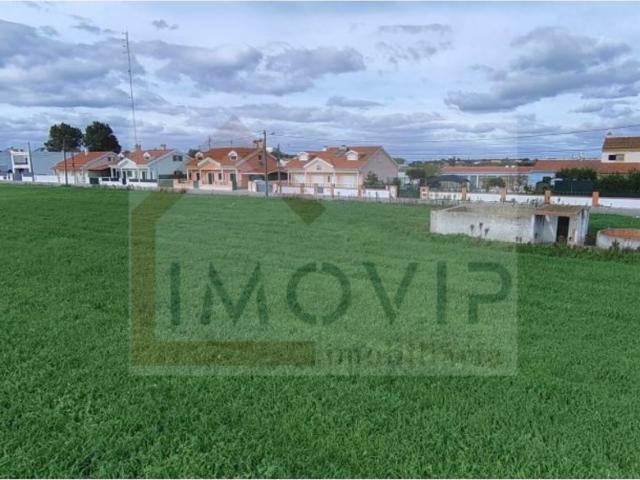 Terreno venda em Bairro do Miranda, Montijo