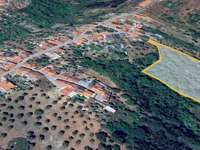 Terreno venda em Abrantes, Santarém