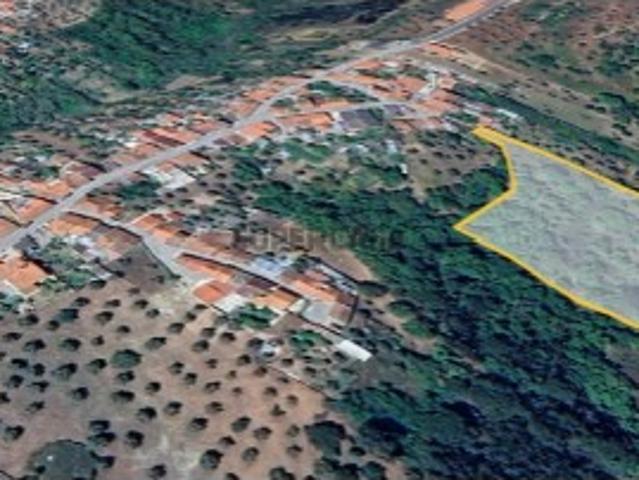 Terreno venda em Abrantes, Santarém