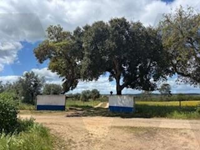 Terreno venda em Santiago Do Cacém, Setúbal