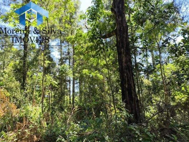 Terreno venda em Região Geográfica Imediata de Porto Alegre, Região Metropolitana de Porto Alegre