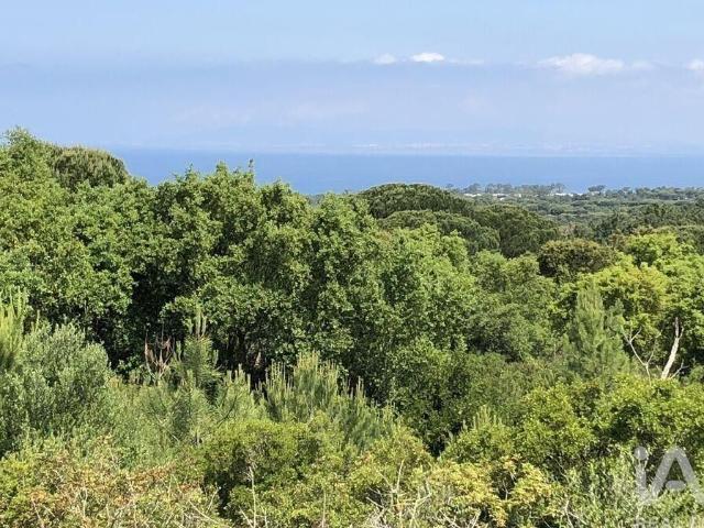 Terreno venda em Sesimbra, Setúbal