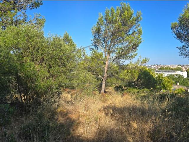 Terreno venda em Visconde da Luz, Cascais