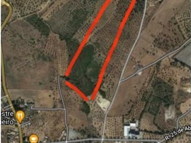Terreno venda em Torres Novas, Santarém