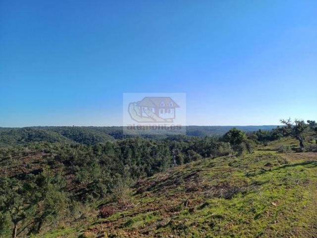 Terreno venda em Corte Salva, Grândola