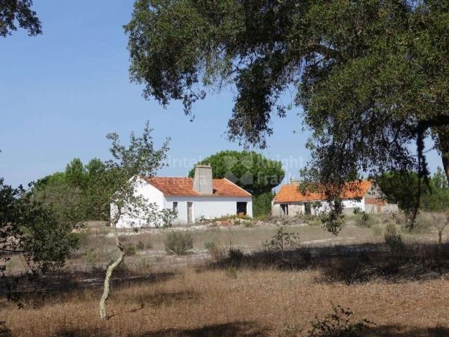 Terreno venda em Grândola e Santa Margarida da Serra, Grândola