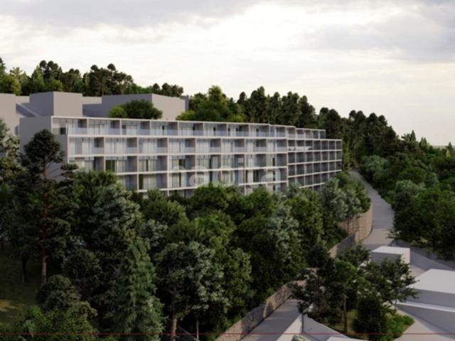 Terreno venda em Guardão, Tondela