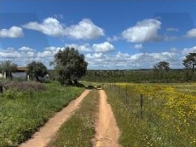 Terreno venda em Santiago Do Cacém, Setúbal