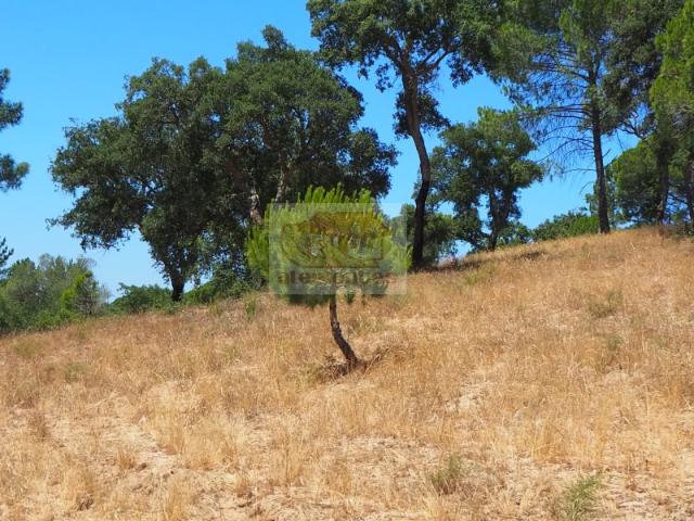 Terreno venda em Pinheiro da Chave, Grândola
