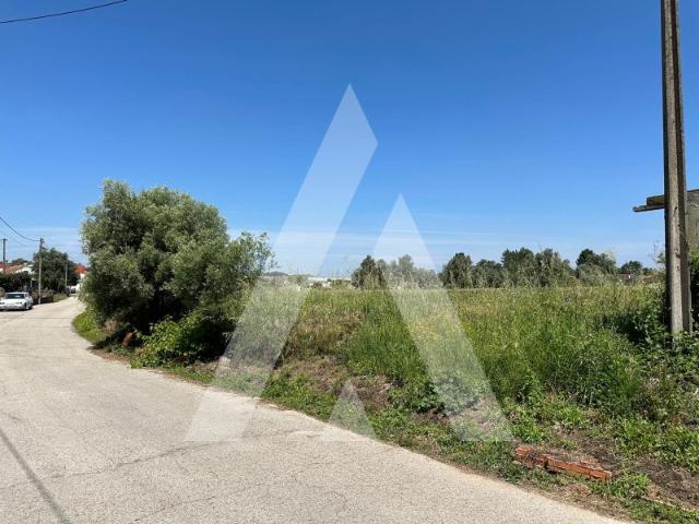 Terreno venda em Anadia, Aveiro