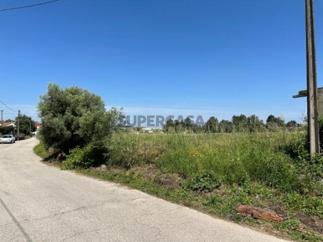 Terreno venda em Anadia, Aveiro