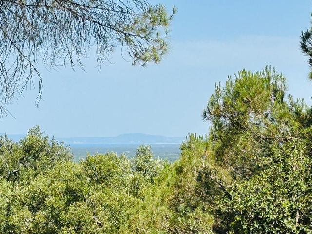 Terreno venda em Grândola, Setúbal