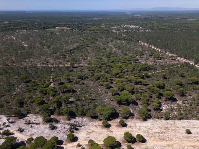 Terreno venda em Grândola, Setúbal
