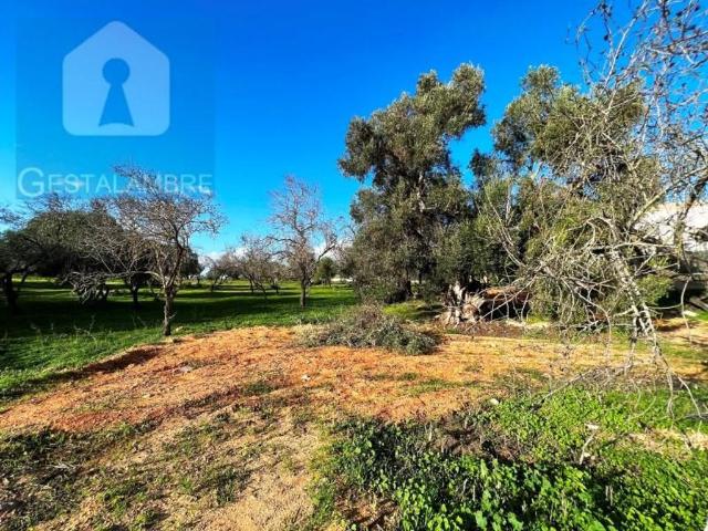 Terreno venda em Albufeira e Olhos de Água, Albufeira