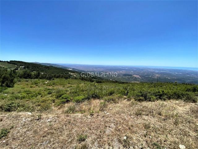 Terreno venda em Monchique, Faro