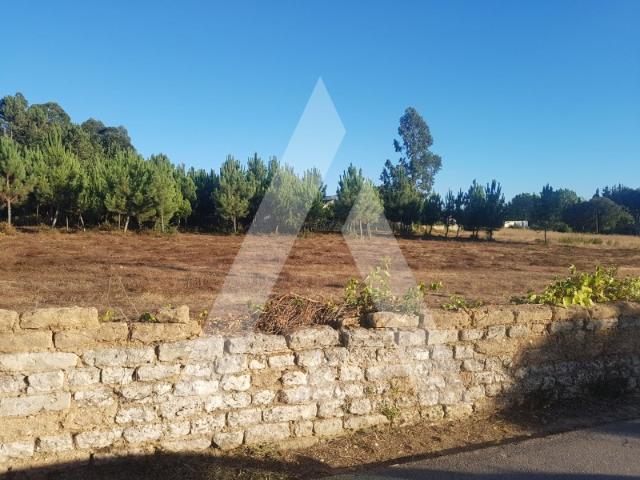 Terreno venda em Anadia, Aveiro
