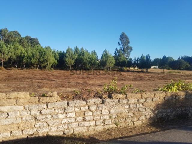 Terreno venda em Anadia, Aveiro
