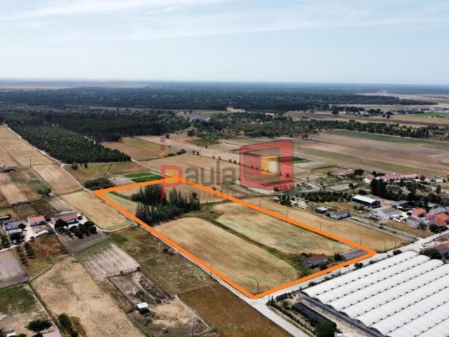 Terreno venda em Bairro Almansor, Montijo