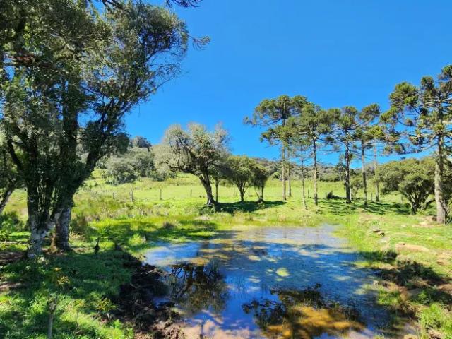 Fazenda venda em Região Geográfica Imediata de Lages, Urupema