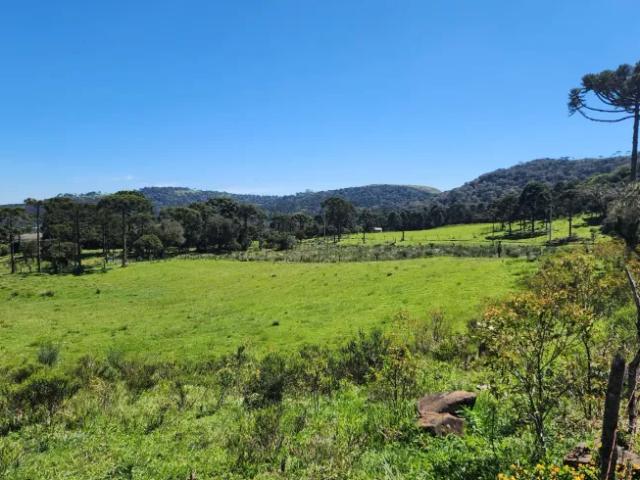 Fazenda venda em Região Geográfica Imediata de Lages, Urupema