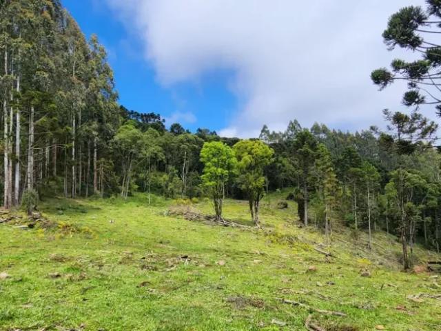 Fazenda venda em Região Geográfica Imediata de Lages, Bocaina do Sul