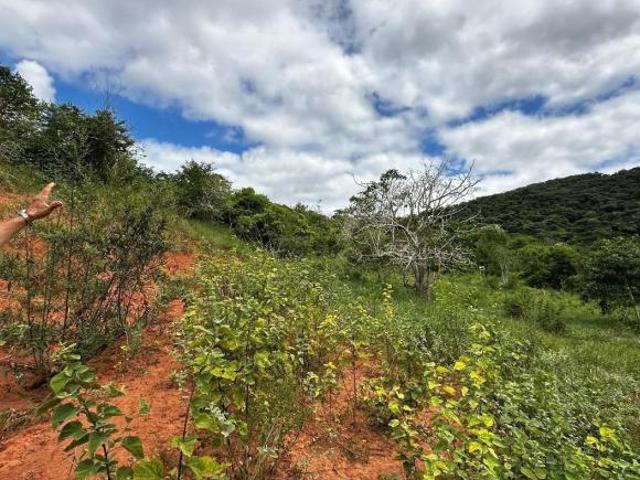 Terreno venda em Periquito, Região Geográfica Intermediária de Ipatinga