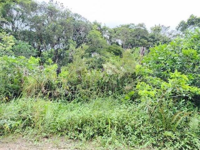 Terreno venda em Região Imediata de Santos, Região Metropolitana da Baixada Santista