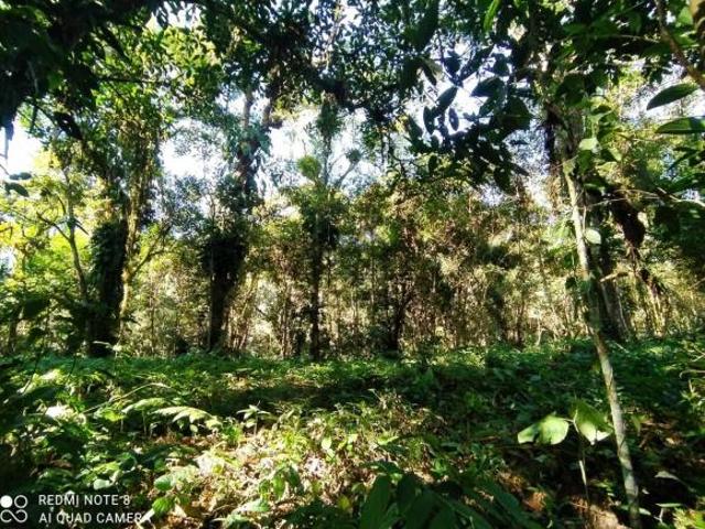 Terreno venda em Região Imediata de Santos, Região Metropolitana da Baixada Santista