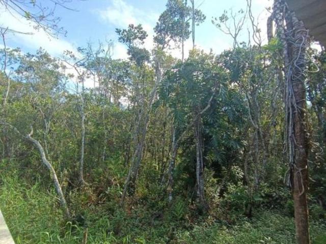Terreno venda em Região Imediata de Santos, Região Metropolitana da Baixada Santista