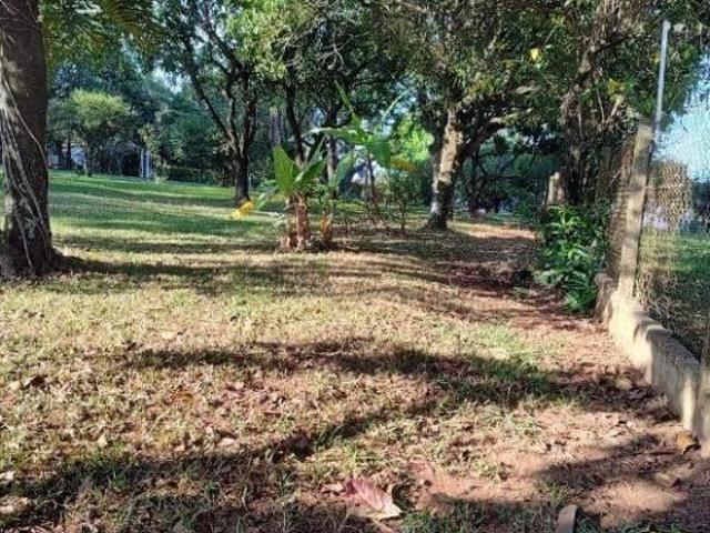 Terreno venda em Região Imediata de Catanduva, Paraíso