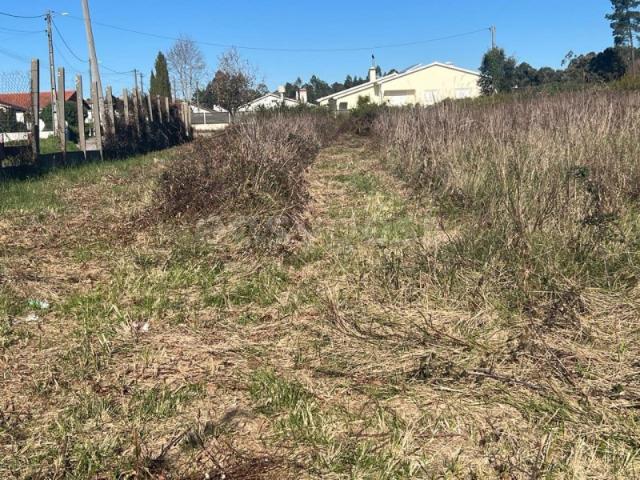 Terreno venda em Caravela, Leiria