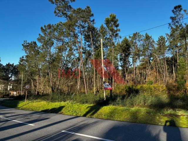 Terreno venda em Roem, Arcos De Valdevez