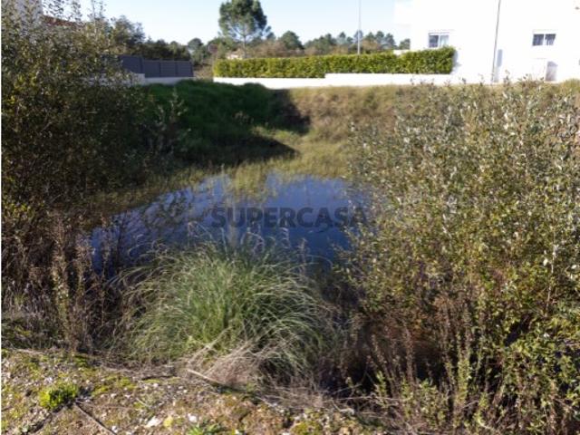 Terreno venda em Cantanhede, Coimbra