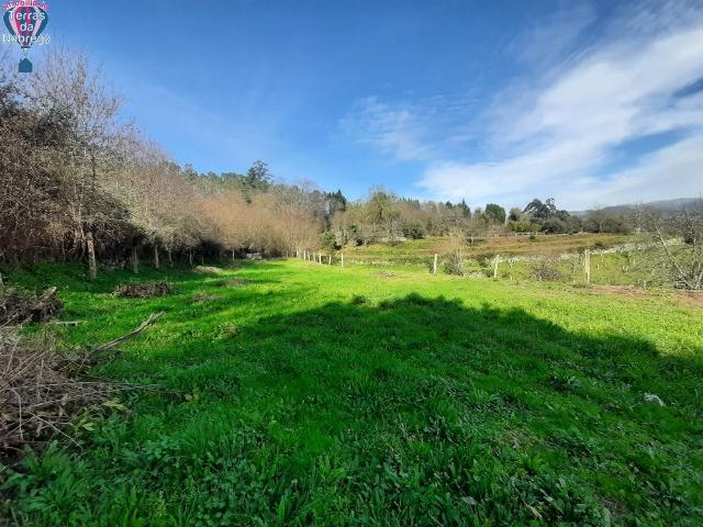 Terreno venda em Arcos De Valdevez, Viana Do Castelo
