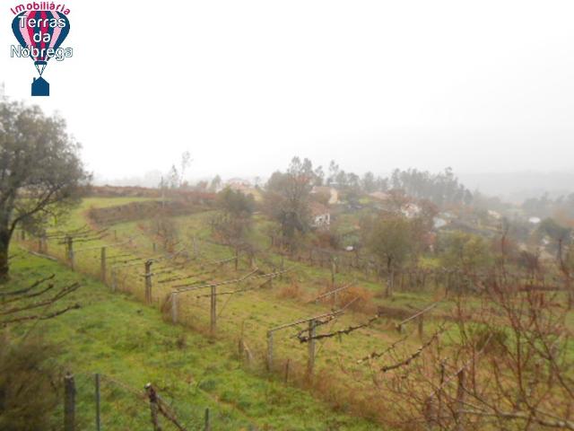 Terreno venda em Grovelas São João Evangelista, Viana Do Castelo