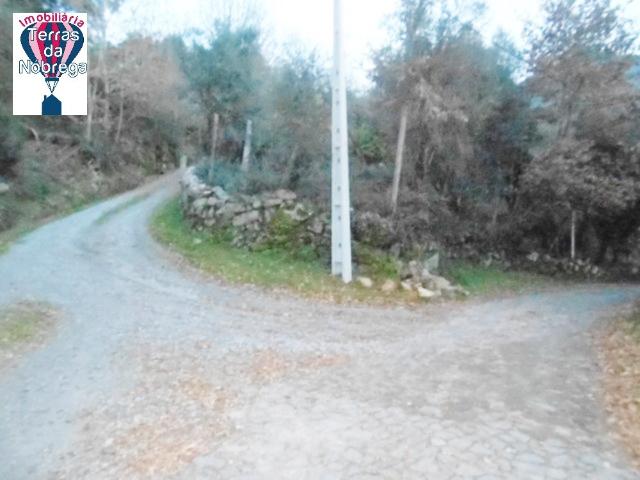 Terreno venda em Grovelas São João Evangelista, Viana Do Castelo