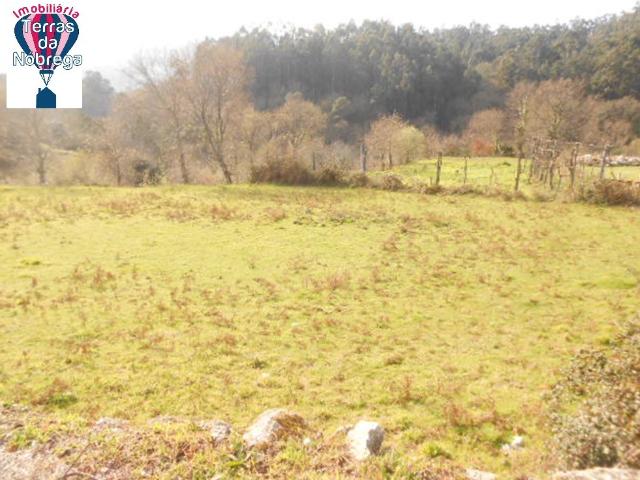 Terreno venda em Febros, Vila Verde