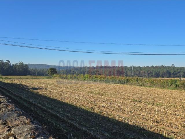 Terreno venda em Bagunte, Ferreiró, Outeiro Maior e Parada, Vila do Conde