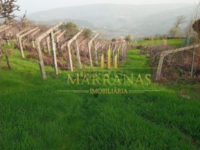 Terreno venda em Baião, Porto