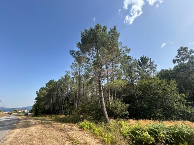 Terreno venda em Agualonga, Viana Do Castelo