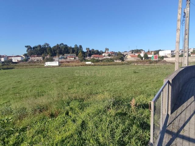 Terreno venda em Alvelos, Arcozelo