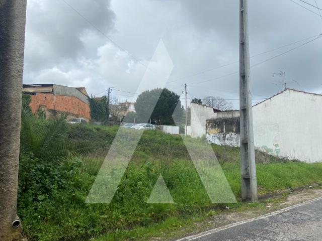 Terreno venda em Anadia, Aveiro